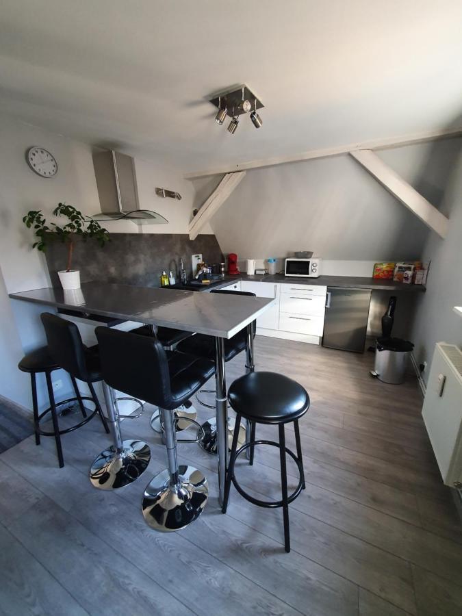 Apartamento Chic & Cosy Haguenau Exterior foto