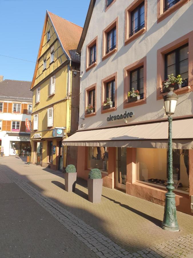 Apartamento Chic & Cosy Haguenau Exterior foto